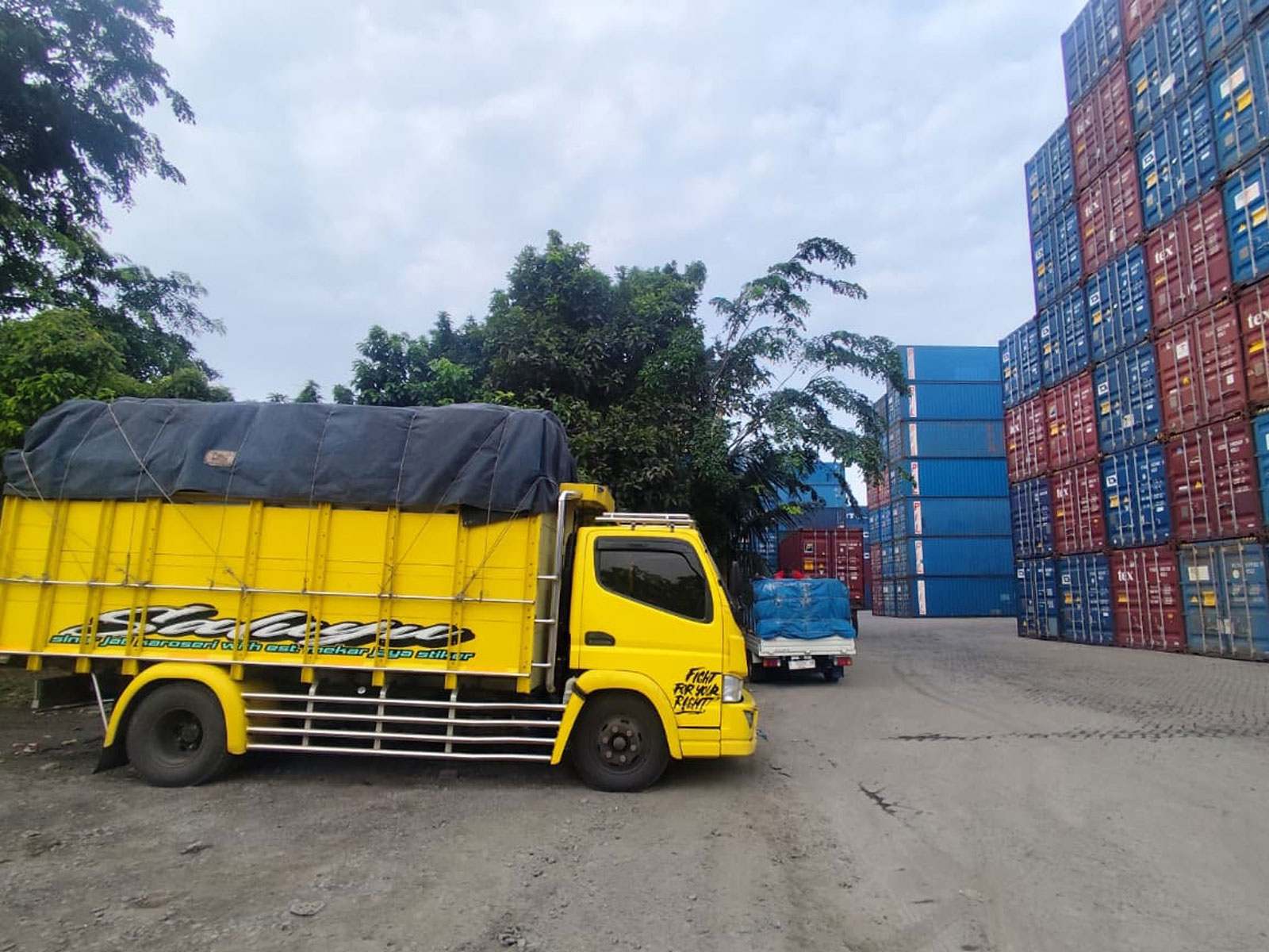 Export-Quality-Arenga-Pinnata-Fiber-3